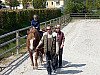 Předplavecký výcvik a jízda na koních v Mačkově